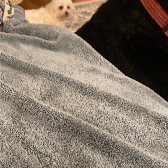 Meet your Posher, Janet - Picture 1 of 1